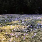 Na Cepcowym