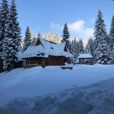 Orman Evi Na Cepcowym