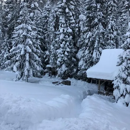 Na Cepcowym Lodge *