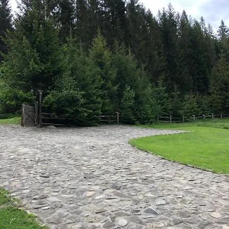 Na Cepcowym Orman Evi Obidowa