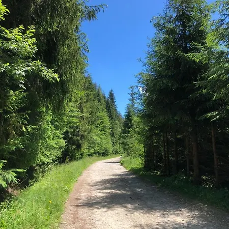 Orman Evi Na Cepcowym *
