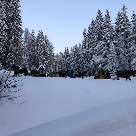 Na Cepcowym Orman Evi Obidowa