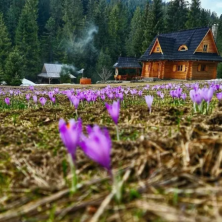 Na Cepcowym Lodge *