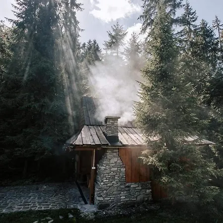 Деревянный коттедж Na Cepcowym Obidowa