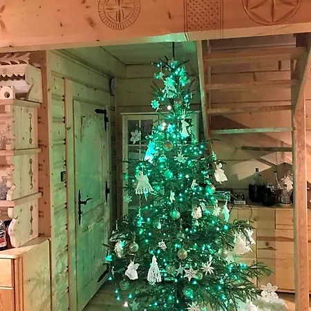 Na Cepcowym Orman Evi