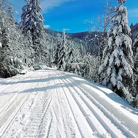 Orman Evi Na Cepcowym *