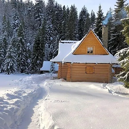 Orman Evi Na Cepcowym