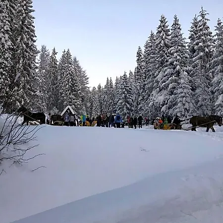 Na Cepcowym Alojamento de Turismo Selvagem *