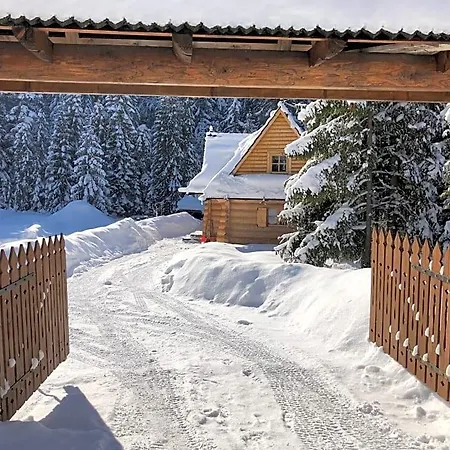 Orman Evi Na Cepcowym *