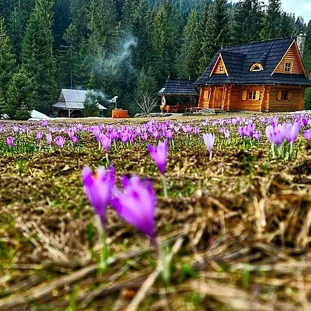 Orman Evi Na Cepcowym