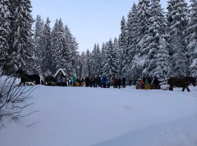 Na Cepcowym Lodge Obidowa